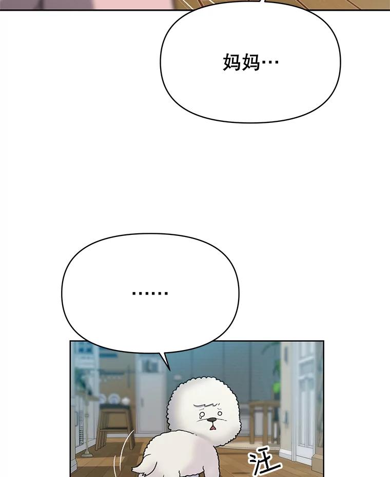 《彩虹桥守望者》24.恭喜梦梦升级 第81页