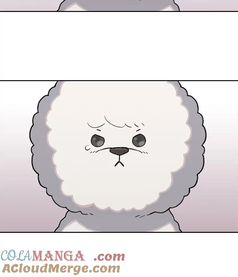 《彩虹桥守望者》24.恭喜梦梦升级 第88页