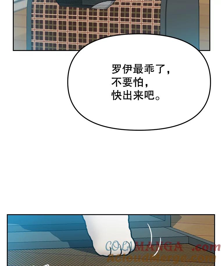 《彩虹桥守望者》24.恭喜梦梦升级 第73页