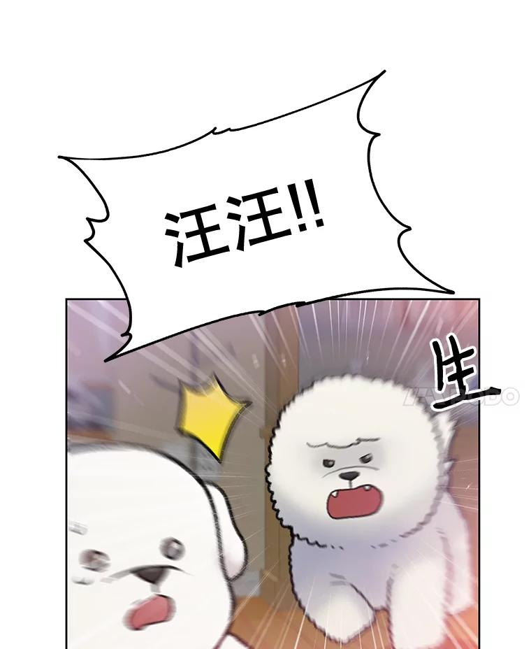 《彩虹桥守望者》24.恭喜梦梦升级 第78页