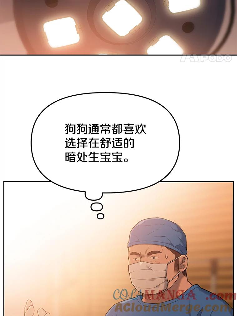 《彩虹桥守望者》24.恭喜梦梦升级 第4页