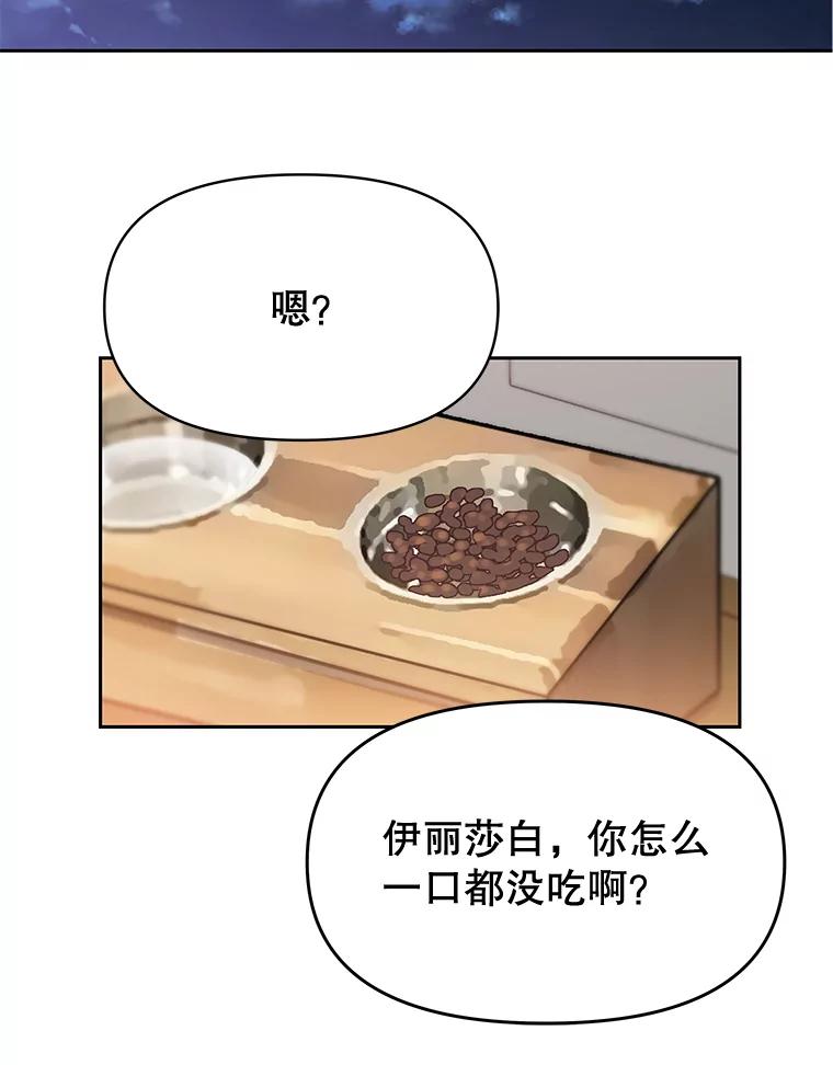 《彩虹桥守望者》24.恭喜梦梦升级 第63页