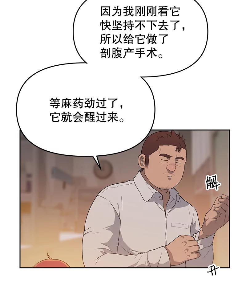 《彩虹桥守望者》24.恭喜梦梦升级 第24页