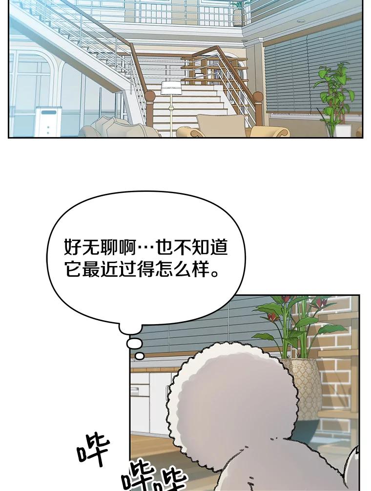 《彩虹桥守望者》24.恭喜梦梦升级 第69页