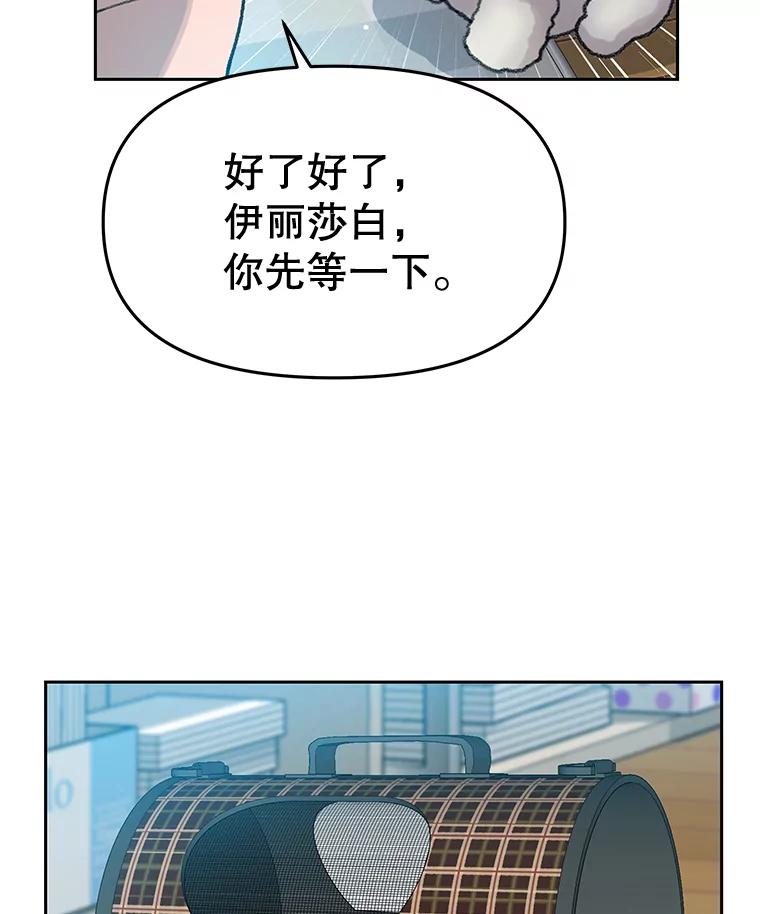 《彩虹桥守望者》24.恭喜梦梦升级 第72页