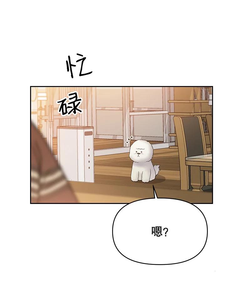 《彩虹桥守望者》24.恭喜梦梦升级 第57页