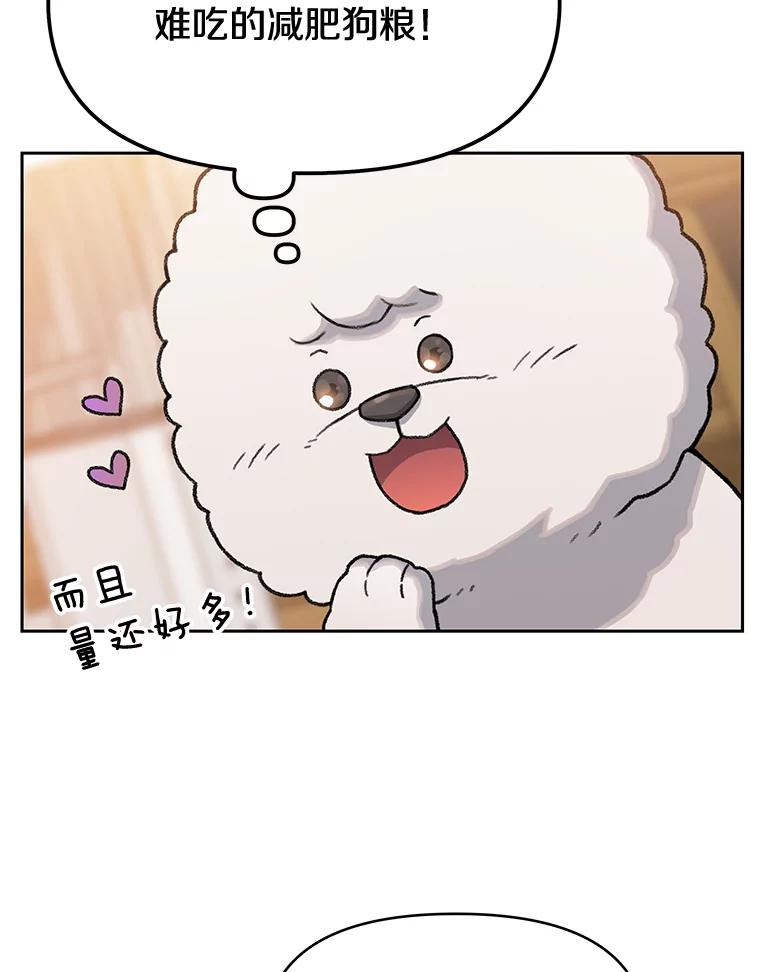 《彩虹桥守望者》24.恭喜梦梦升级 第60页
