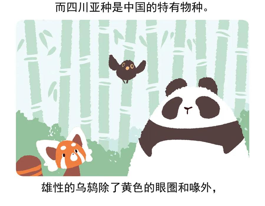 《胖达x胖达》第62话 第32页