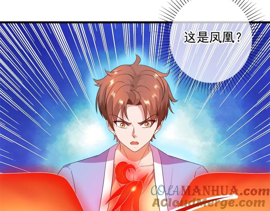 重生地球仙尊 第237话 凤凰 第25页