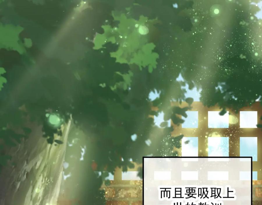 重生地球仙尊 第1话 我是谁我在哪 第94页