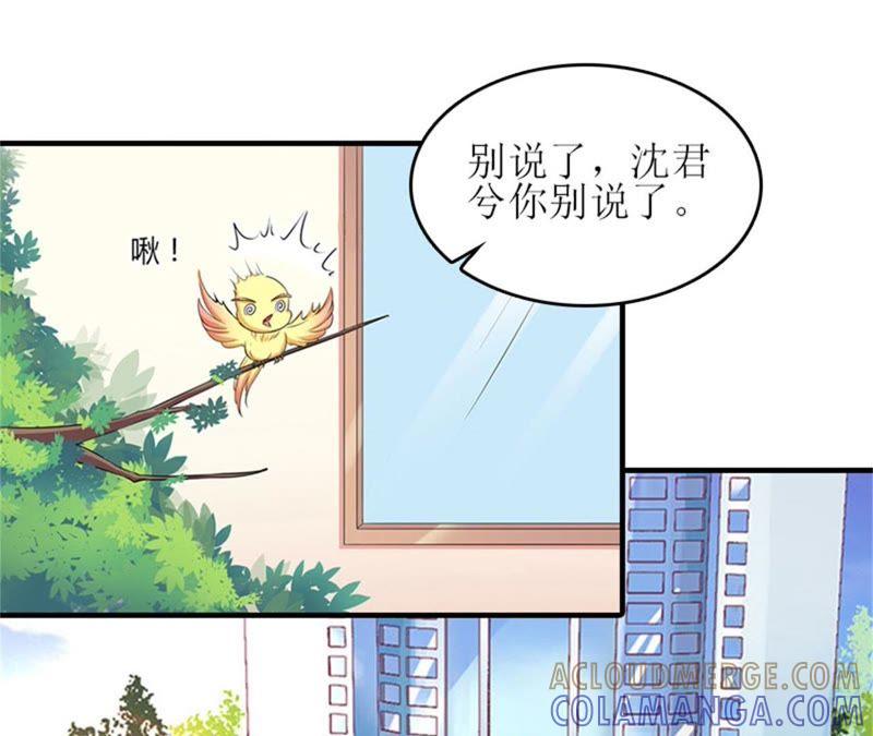 《误入婚途：叛逆娇妻不好惹》不想见他吗 第55页