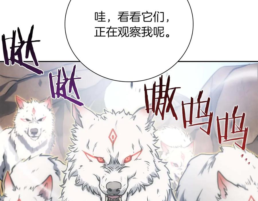 《重生后成为FFF级巫医》第22话 小鸡军团VS狼群 第15页