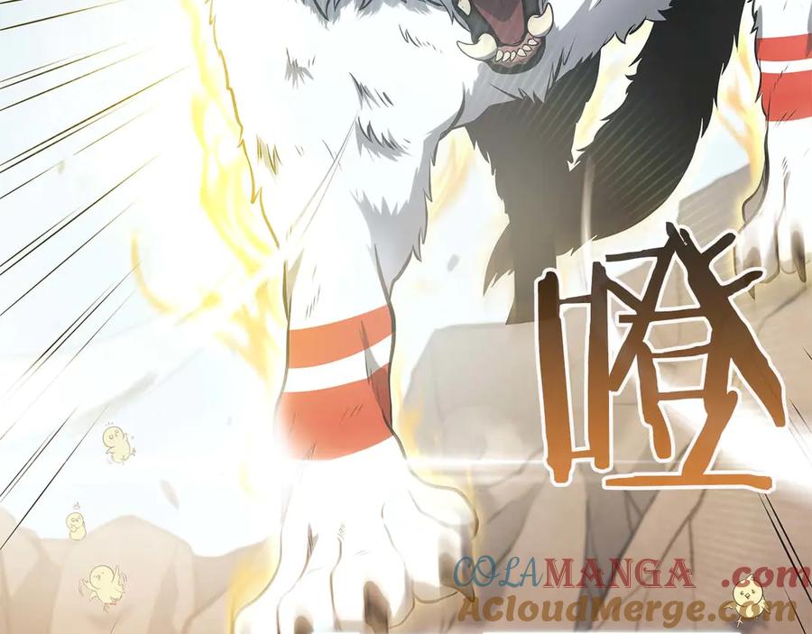 《重生后成为FFF级巫医》第22话 小鸡军团VS狼群 第145页