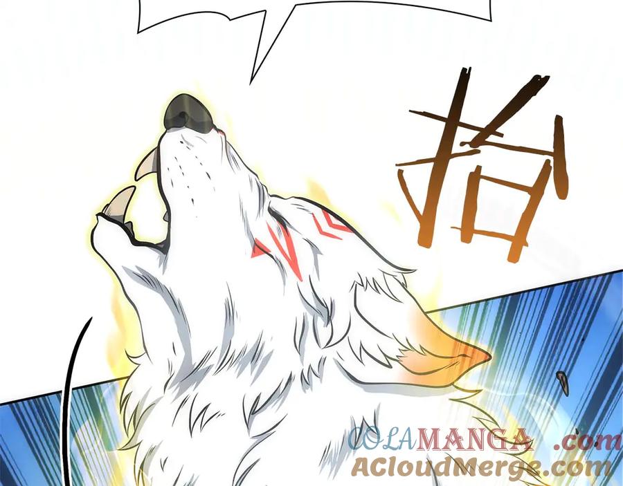 《重生后成为FFF级巫医》第22话 小鸡军团VS狼群 第149页