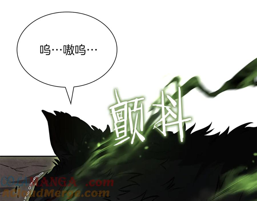 《重生后成为FFF级巫医》第23话 狂化 第181页