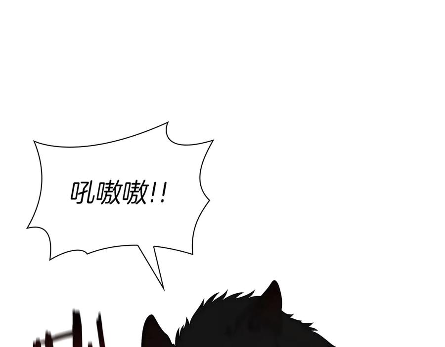 《重生后成为FFF级巫医》第23话 狂化 第167页