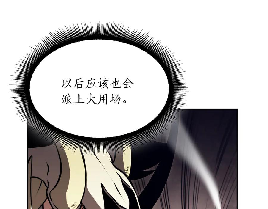 《重生后成为FFF级巫医》第30话 跟宠就是拿来卖萌的 第118页