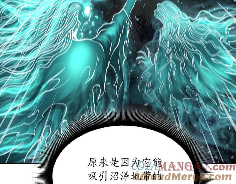 《重生后成为FFF级巫医》第33话 乱入战斗 第33页
