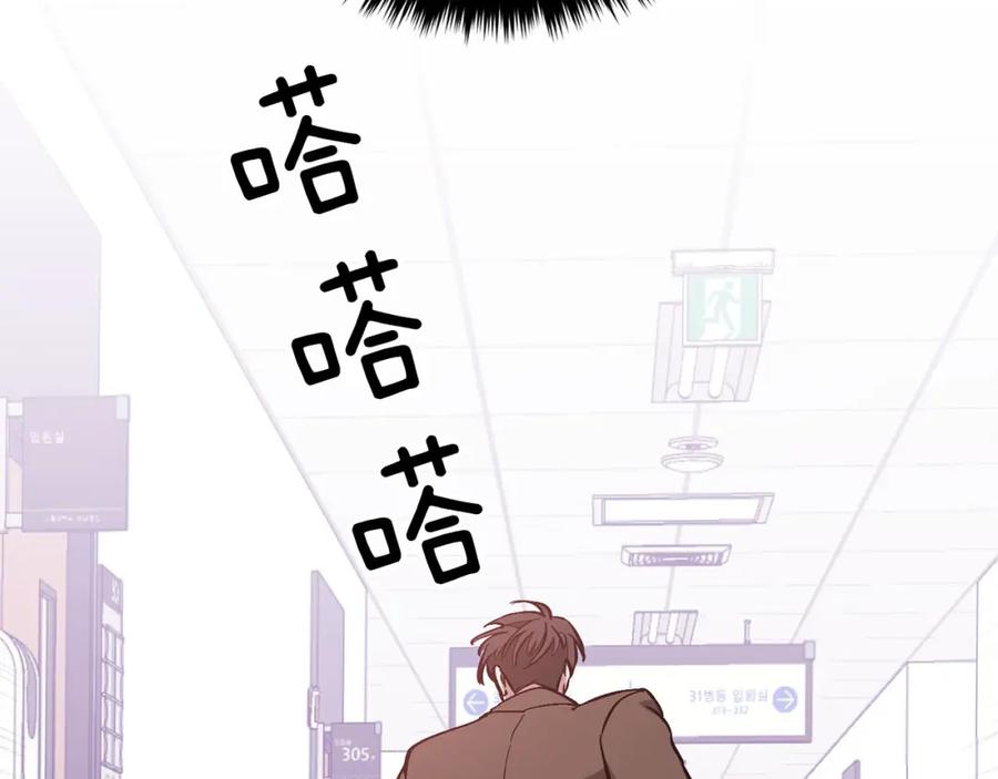 《重生后我被大佬宠上顶流》第41话 反派的报复！ 第204页