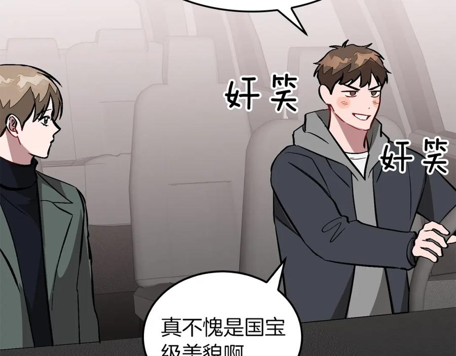 《重生后我被大佬宠上顶流》第73话 命中注定 第184页