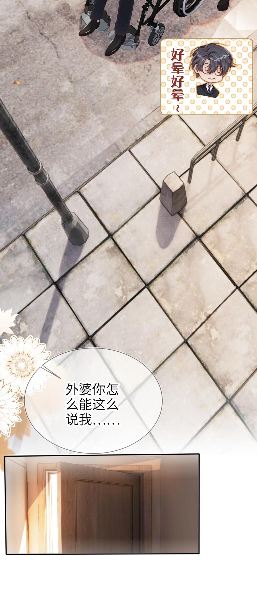 重生后我嫁给了残疾大佬 016 中国式见家长 第15页