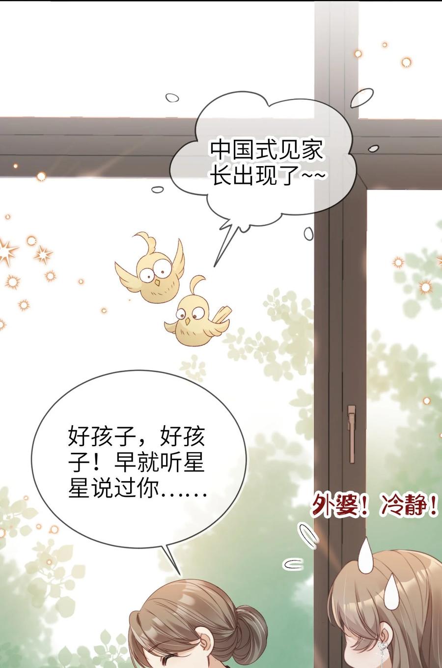 重生后我嫁给了残疾大佬 016 中国式见家长 第53页