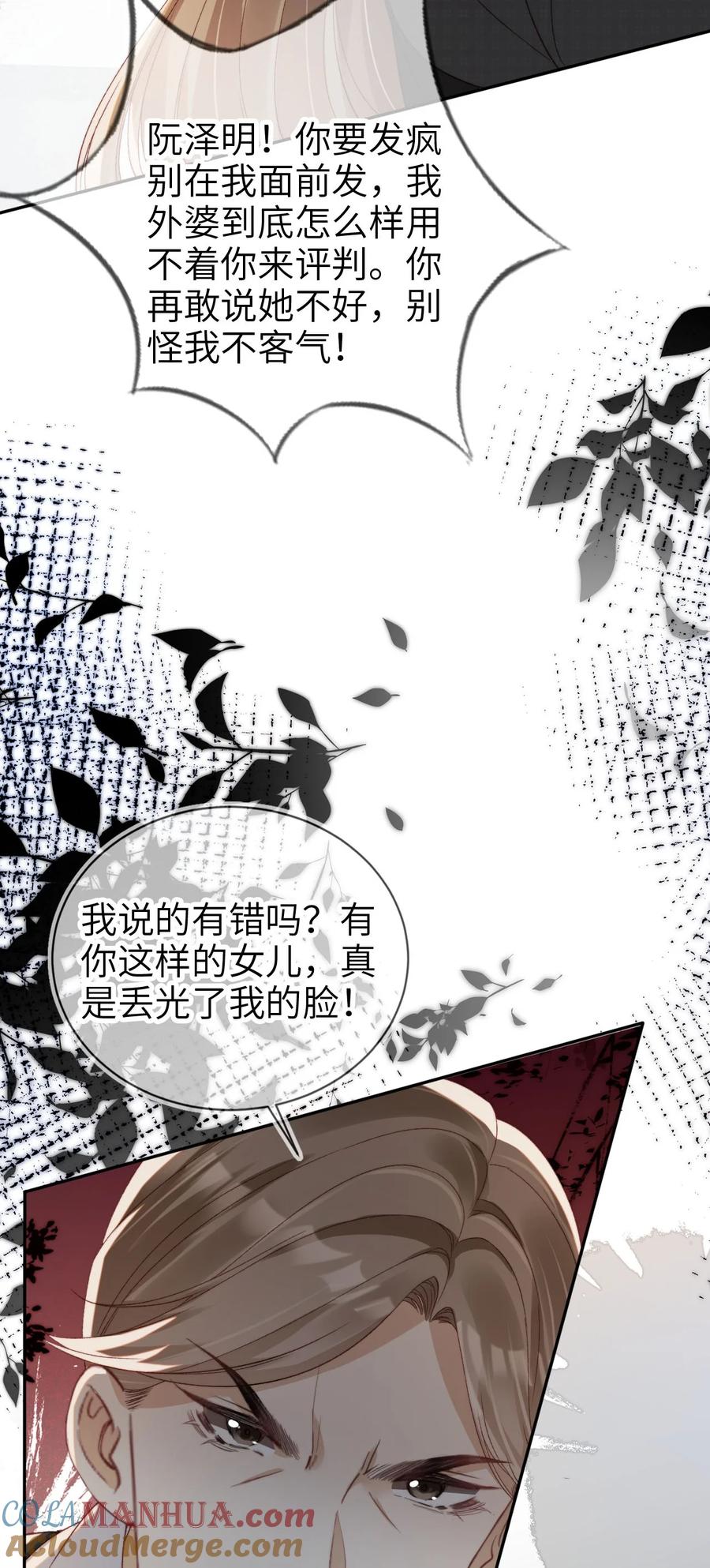 重生后我嫁给了残疾大佬 018 流言四起 第16页