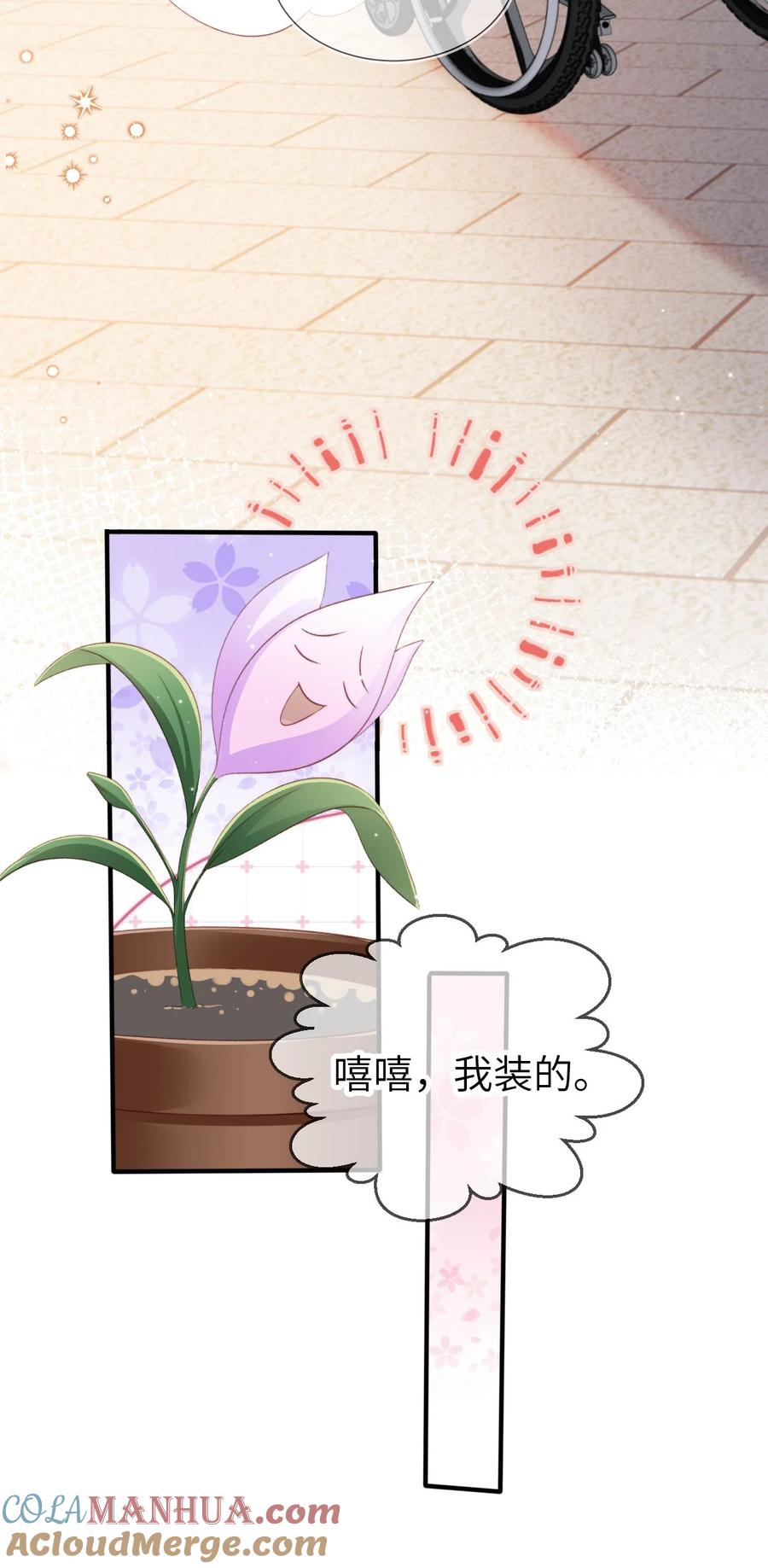 重生后我嫁给了残疾大佬 022 母子反目？ 第13页
