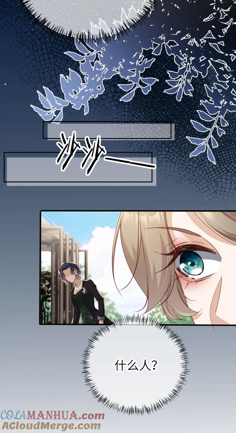 重生后我嫁给了残疾大佬 022 母子反目？ 第43页