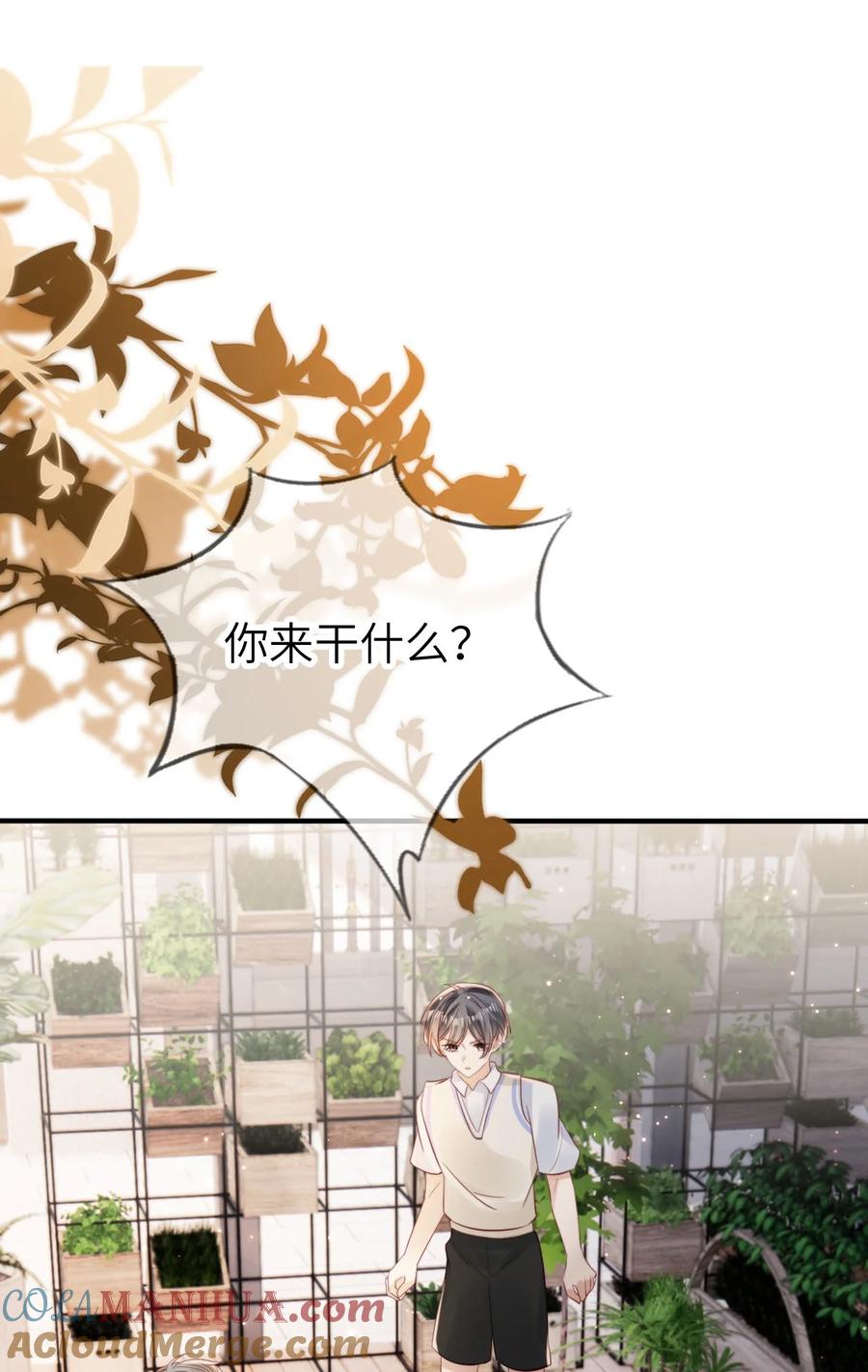 重生后我嫁给了残疾大佬 023 鱼死网破 第5页