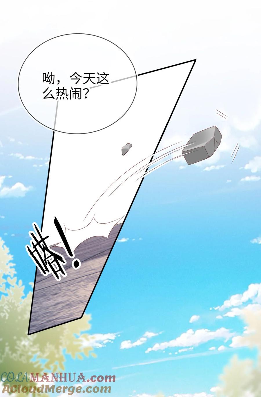 重生后我嫁给了残疾大佬 027 我罩着 第29页