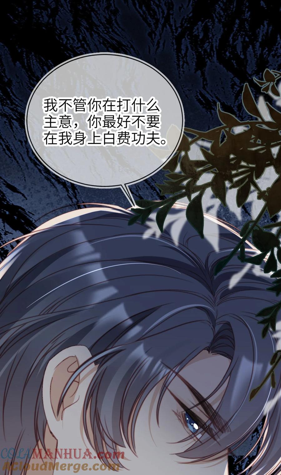 重生后我嫁给了残疾大佬 036 命中注定 第21页