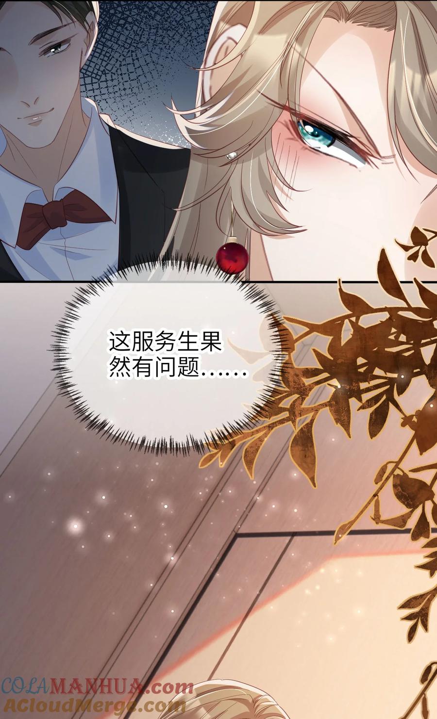 重生后我嫁给了残疾大佬 036 命中注定 第11页