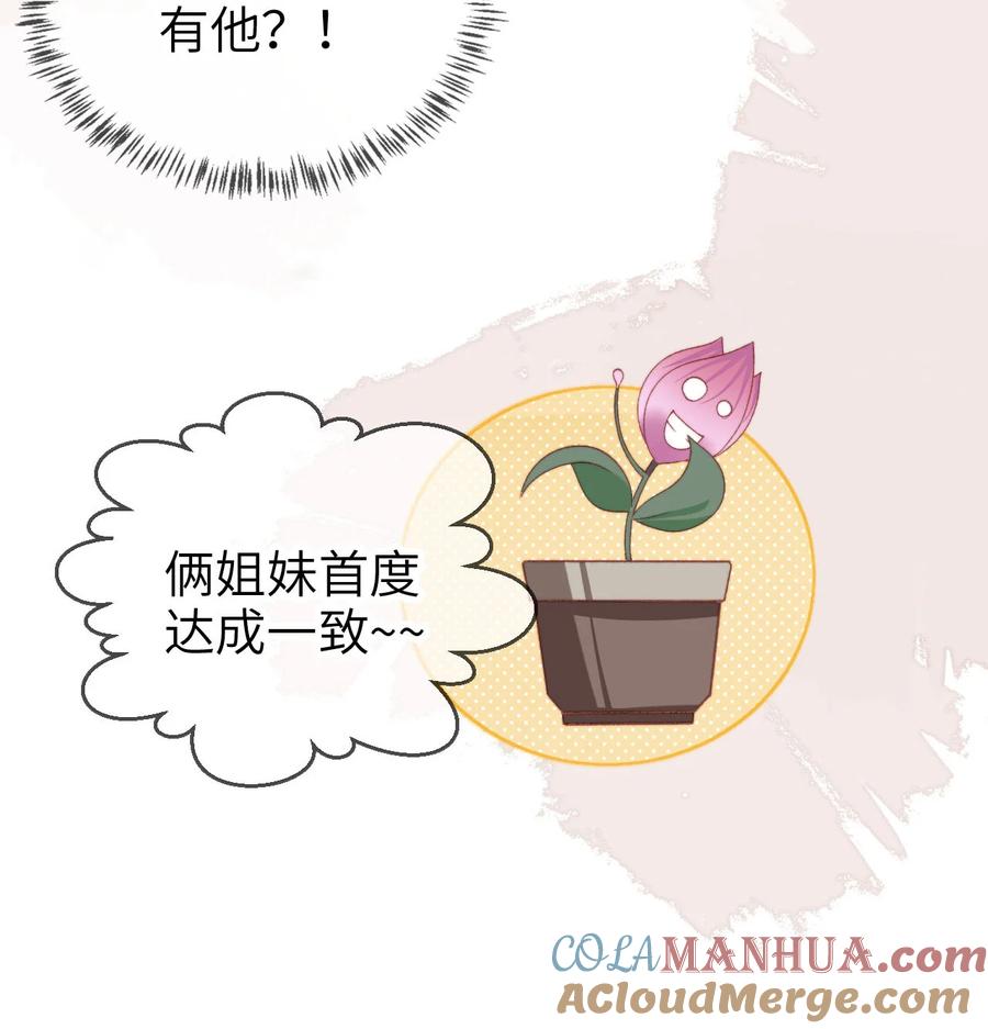 重生后我嫁给了残疾大佬 040 好戏即将开场 第37页