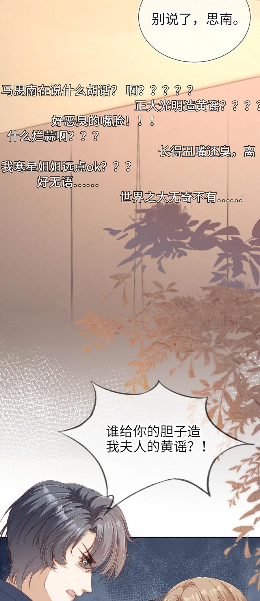 重生后我嫁给了残疾大佬 045 秘密 第10页
