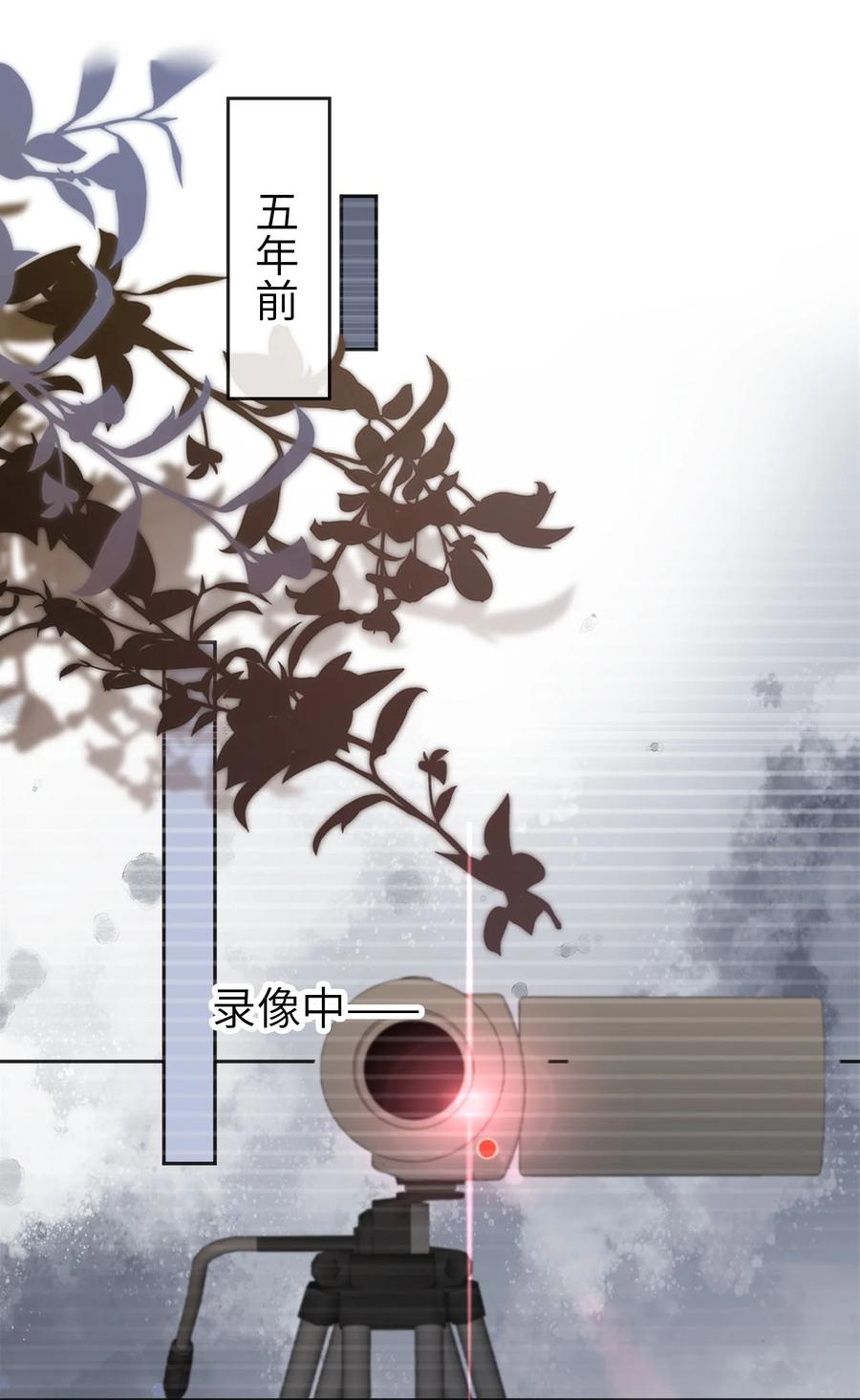 重生后我嫁给了残疾大佬 045 秘密 第28页