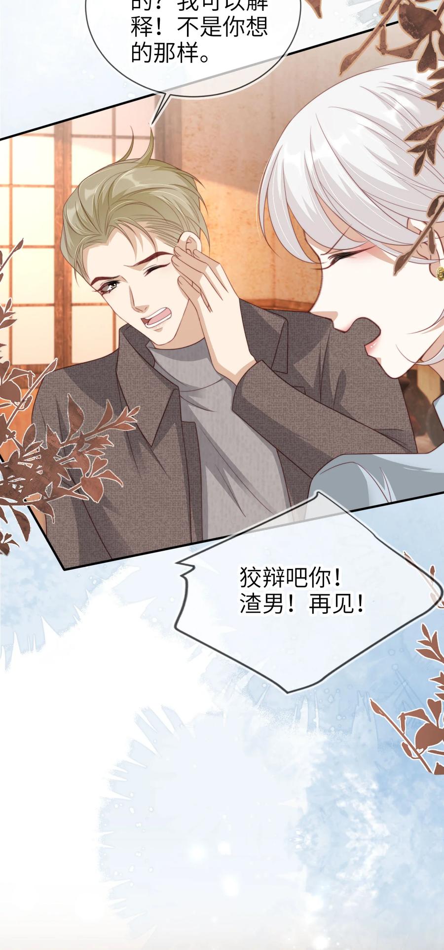 重生后我嫁给了残疾大佬 047 脱离苦海 第12页