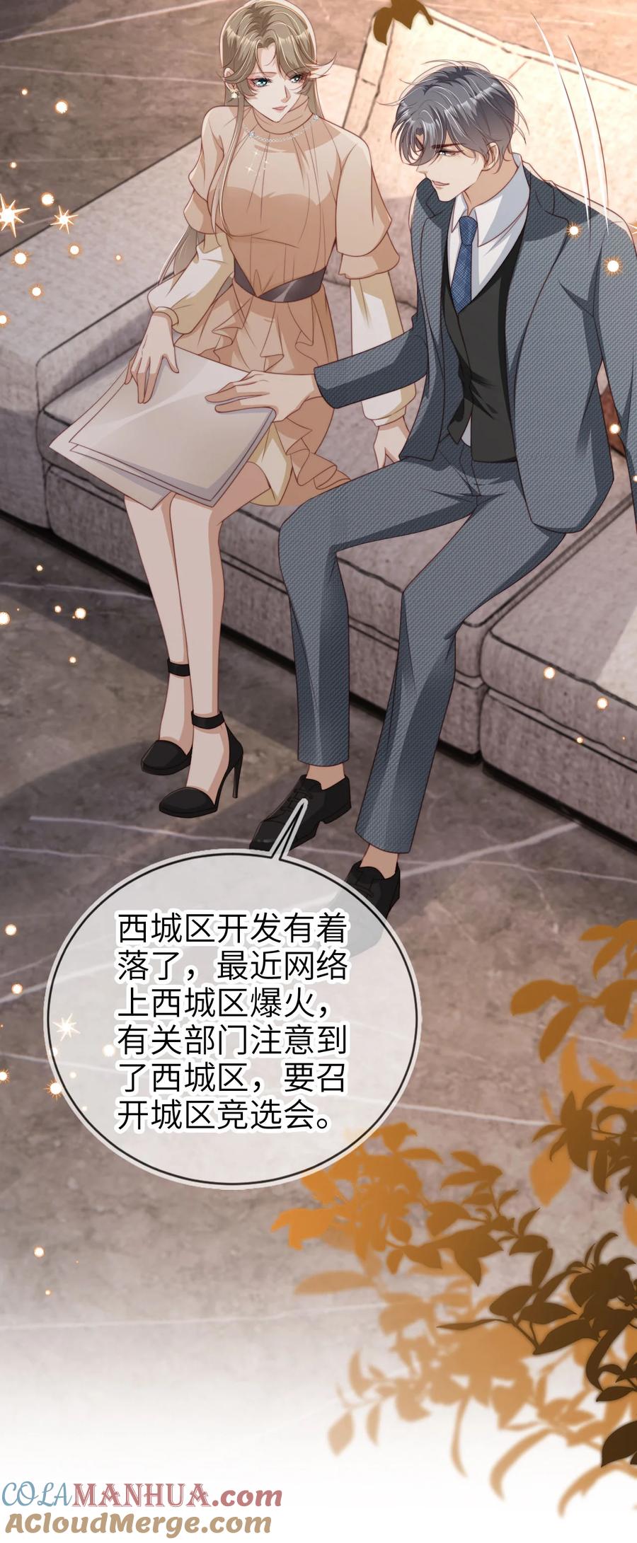 重生后我嫁给了残疾大佬 047 脱离苦海 第19页