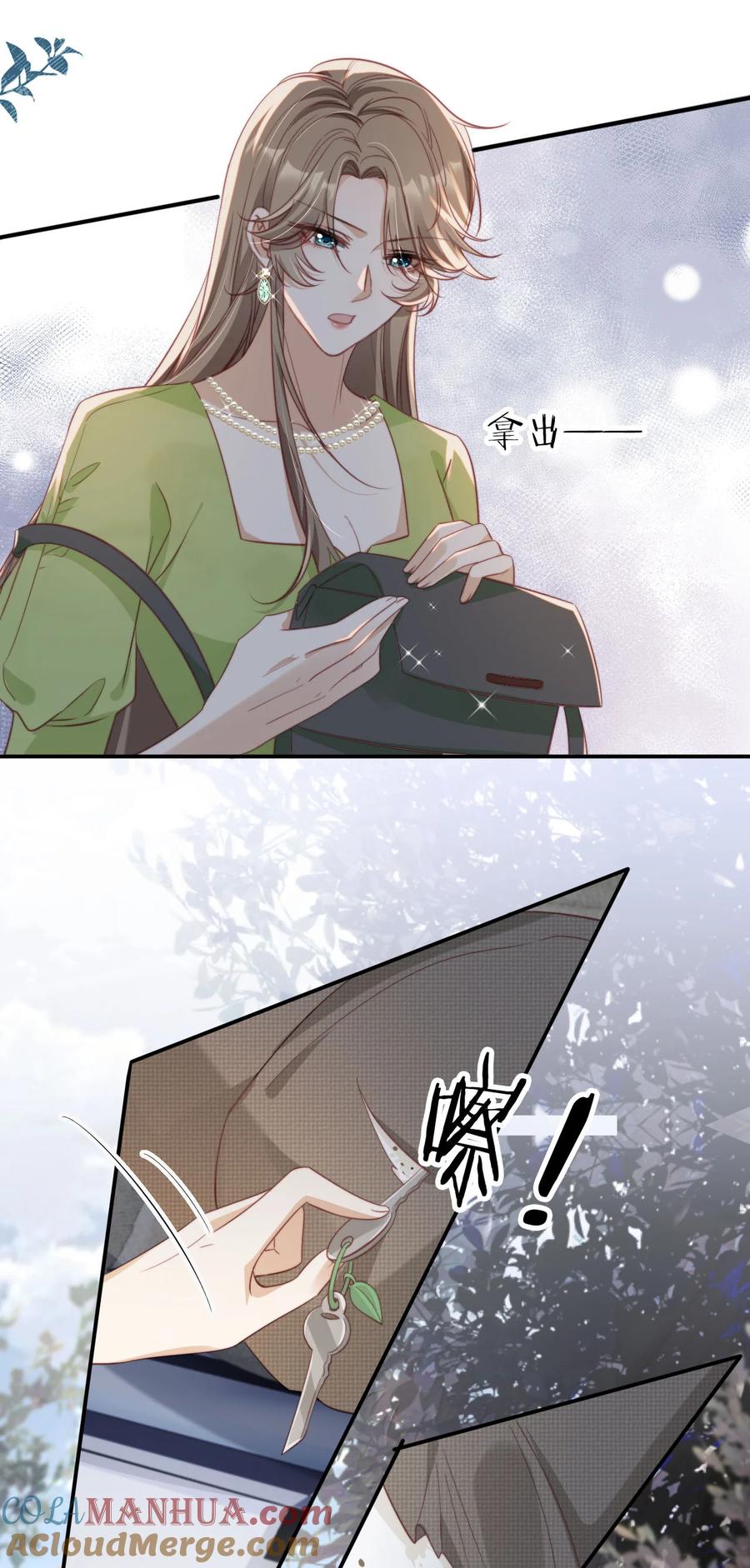 重生后我嫁给了残疾大佬 048 劣质作秀 第13页