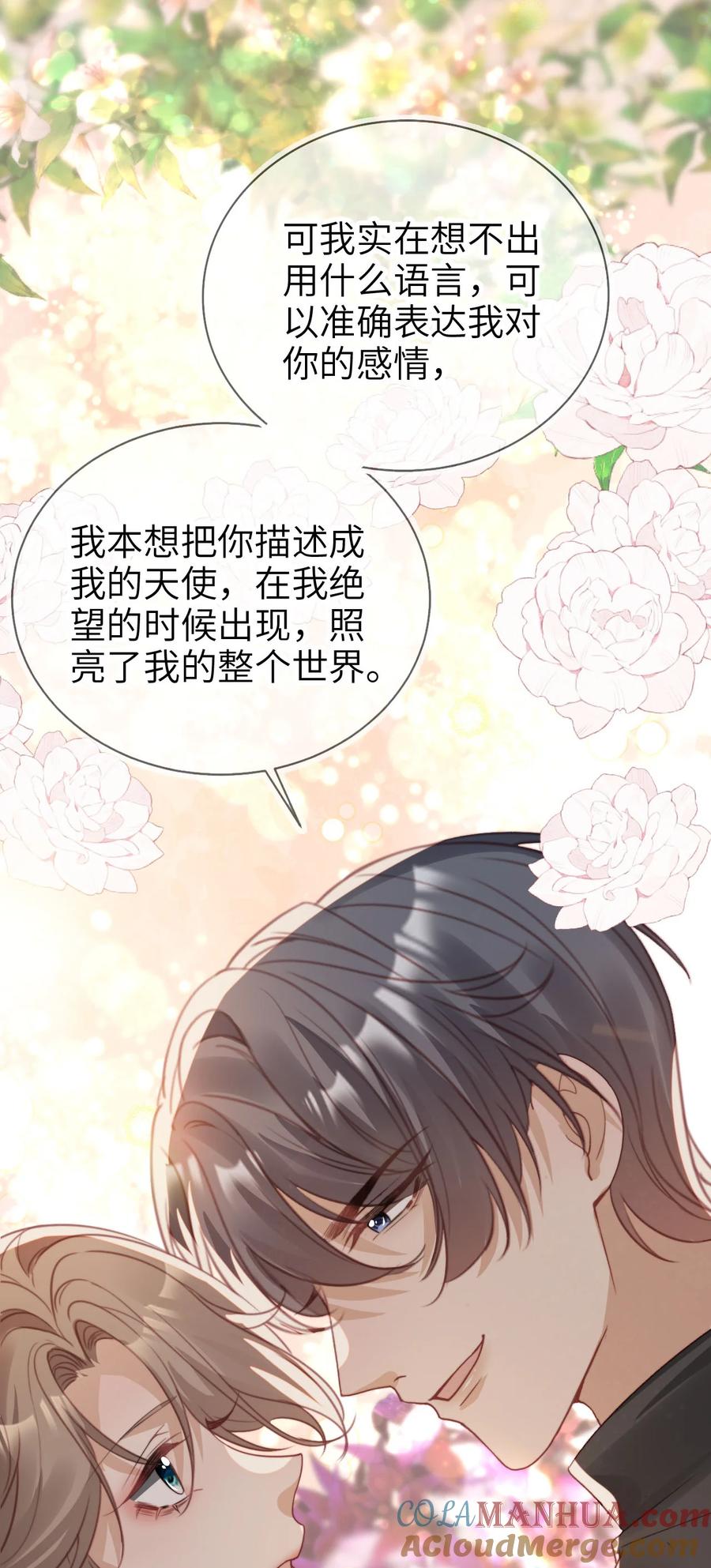 重生后我嫁给了残疾大佬 055 求婚（大结局） 第33页