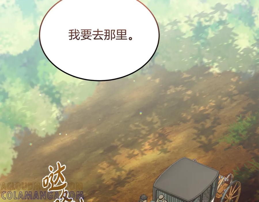《杀了病娇男主》第55话 弗林的母亲 第17页