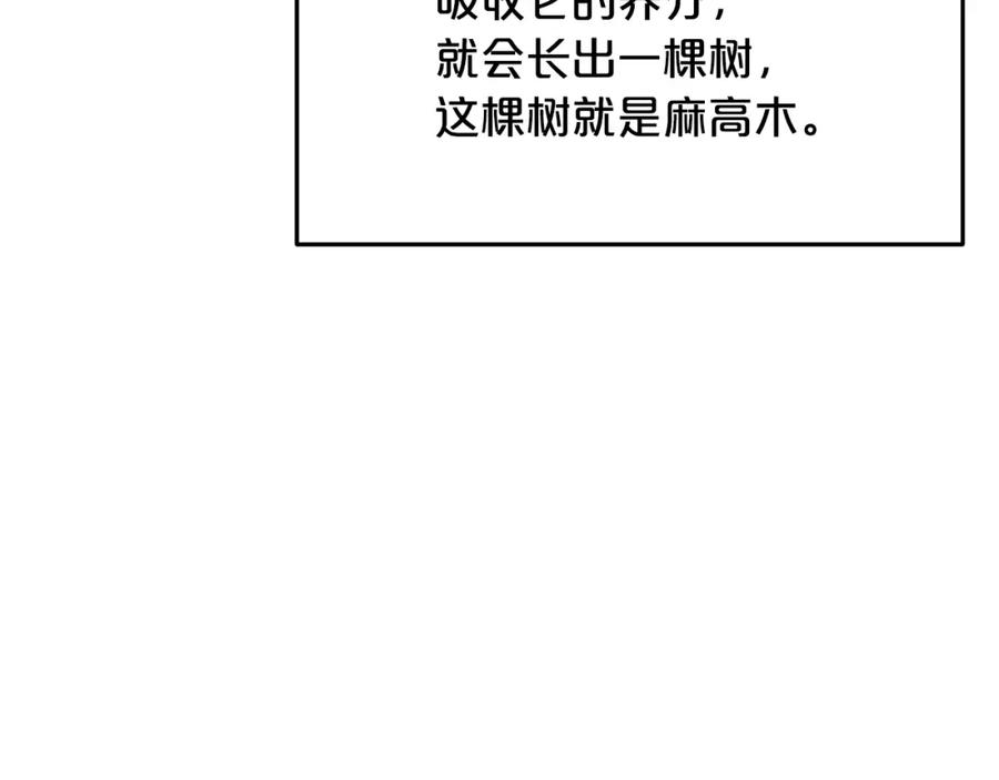 《重生为剑神的我》第67话 神地 第196页