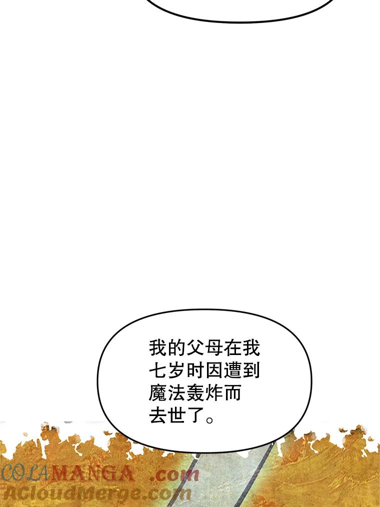 《重生为剑之达人》4.普昂商团 第29页