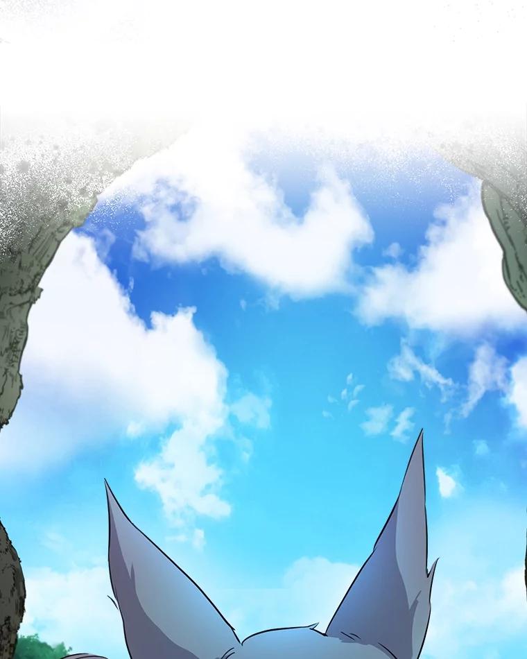 重生为神兽宝宝 - 0.序章 - 第14张图