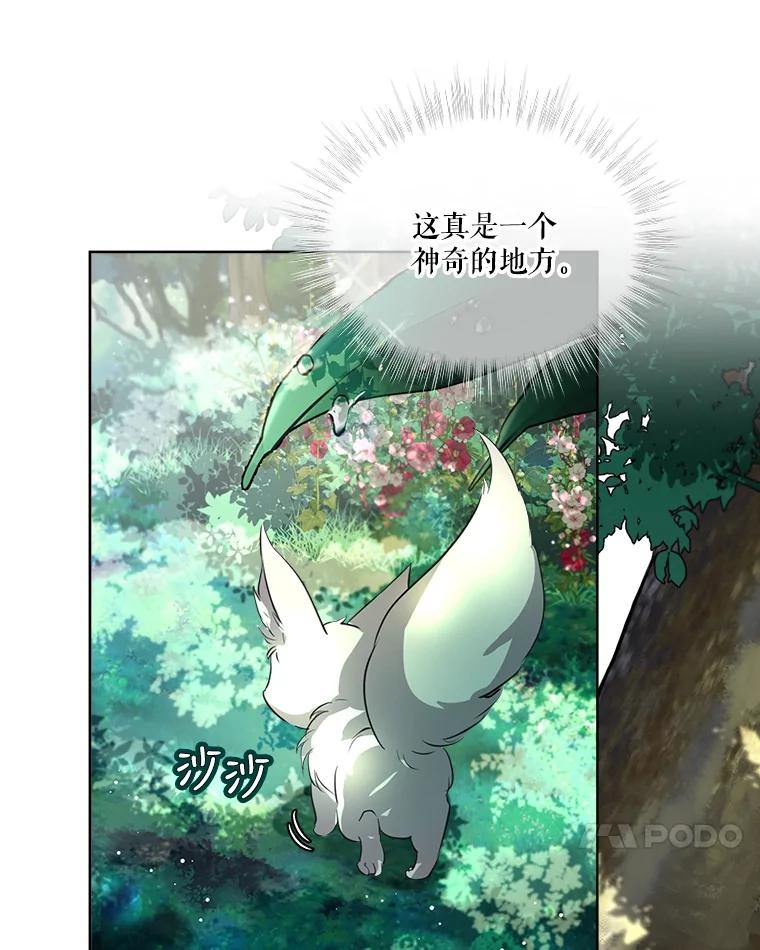 重生为神兽宝宝 - 0.序章 - 第11张图