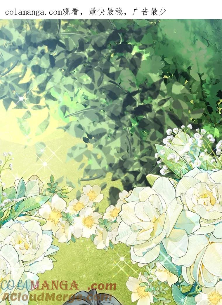 重生为神兽宝宝 - 71.是梦境？ - 第1张图