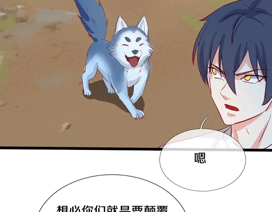《重生仙尊之这个赘婿有点嚣》四大家族，必须铲除 第2页