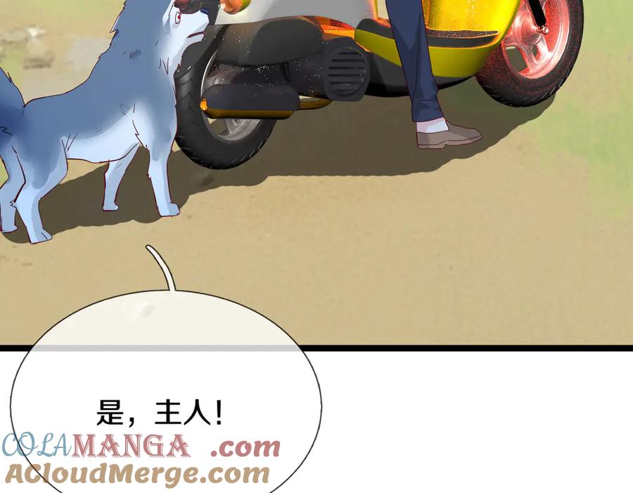 《重生仙尊之这个赘婿有点嚣》四大家族，必须铲除 第58页