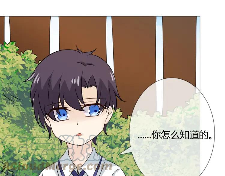《重生一梦》83 幼儿园番外3 第81页