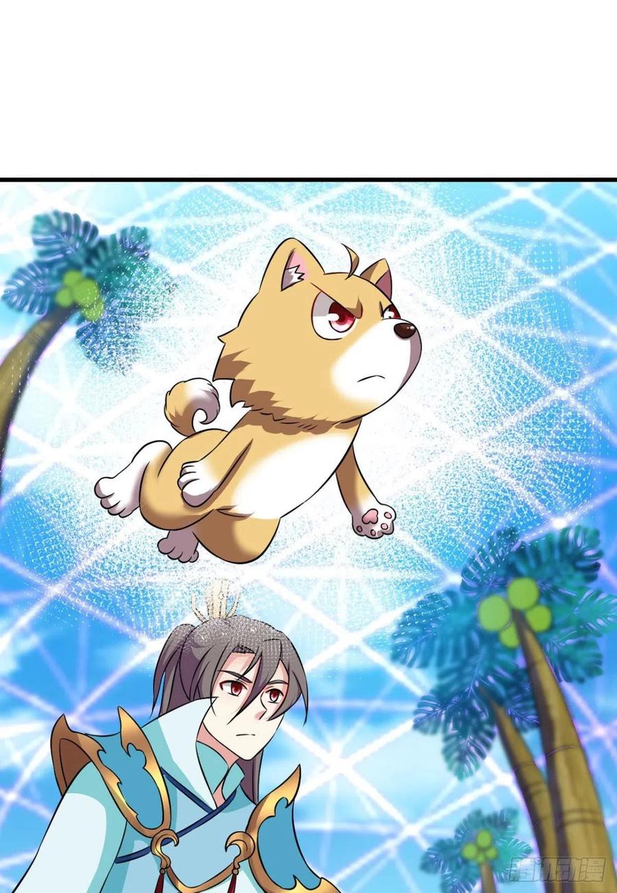 《重生异世一条狗》149 斗仙大赛！ 第41页